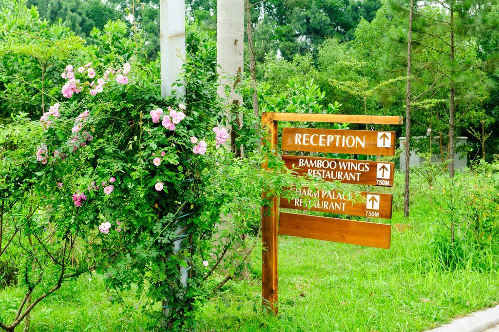 Flamingo Dai Lai Resort Ngoc Quang Exterior foto